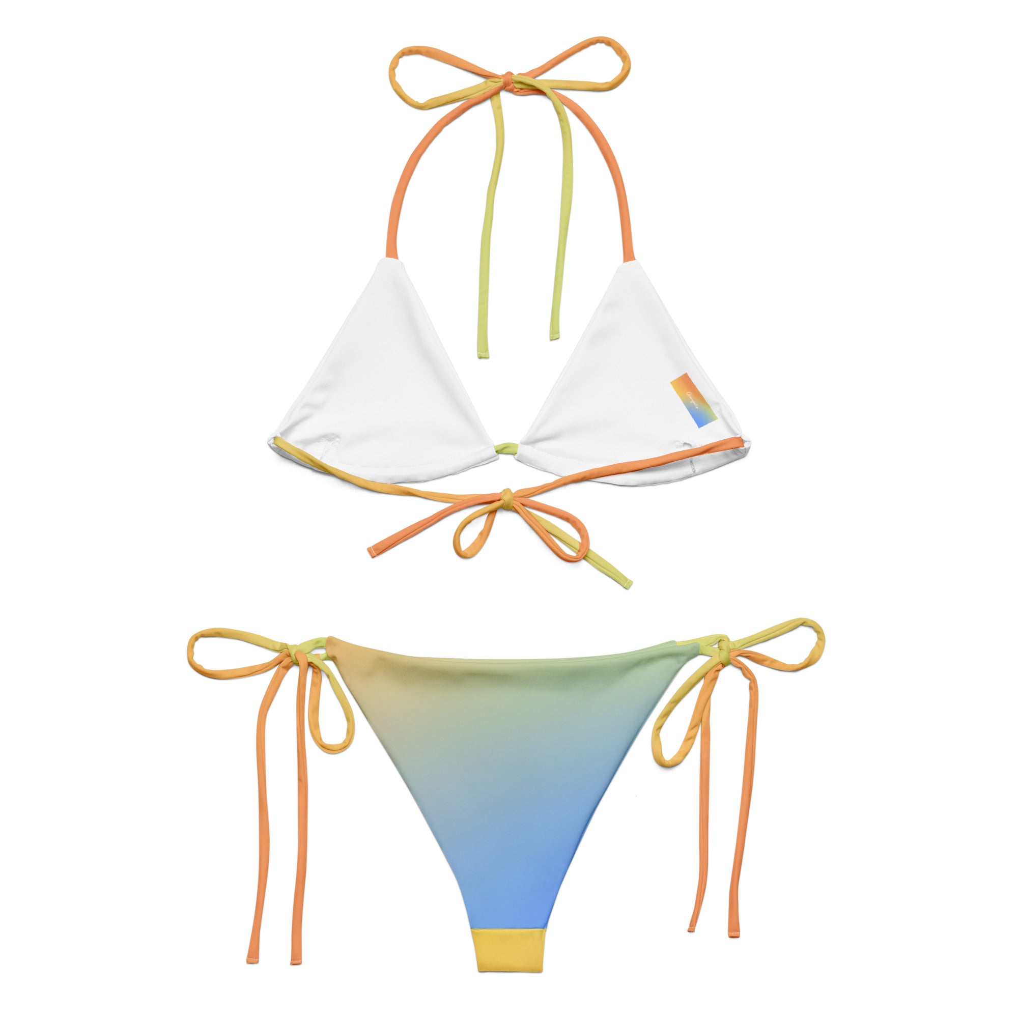 Horizon Hues bikini